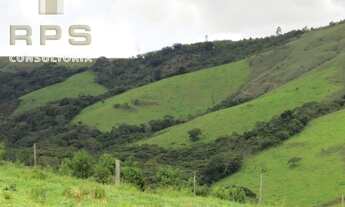 Imagem 6: Fazenda Formada na Represa de Furnas - Sul de MG- Várias Aptidões