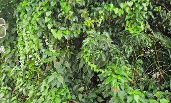 Imagem 2: Lindo terreno com 400,83 m2 de área, localizado em um dos melhores bairros da cidade