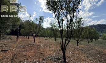 Imagem 6: Área de 121mil m² com topografia excelente à venda em Jarinu, com acesso à Atibaia e Campo