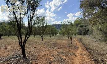 Imagem 3: Área de 121mil m² com topografia excelente à venda em Jarinu, com acesso à Atibaia e Campo