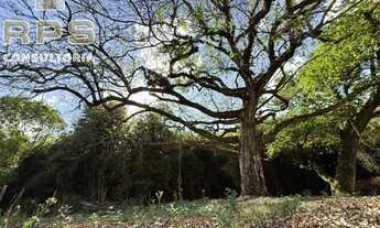 Imagem 2: Área de 121mil m² com topografia excelente à venda em Jarinu, com acesso à Atibaia e Campo