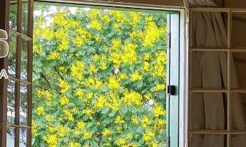 Imagem 2: Sítio de alto padrão à venda com área total de 11.000m² em Atibaia, 4 quartos sendo 1 suít