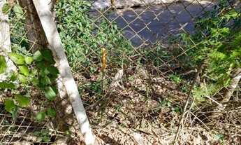 Imagem 7: Terreno de 165m² no bairro Jardim São Felipe em Atibaia, com projeto aprovado para constru