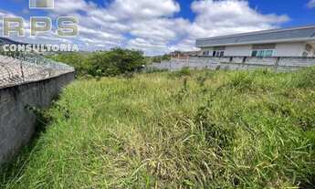 Imagem: Rua asfaltada, com fácil acesso à renomada