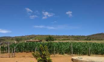 Imagem 6: FAZENDA RURAL em Pindai - BA, Zona Rural