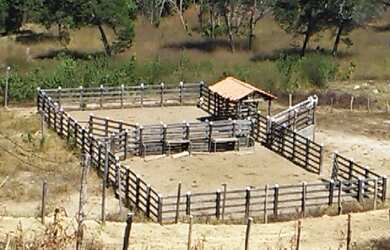 Imagem 3: Fazenda de Gado em Formosa do Rio Preto. Excelente