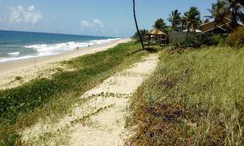 Imagem 7: Lote residencial em Praia dos Lagos. Litoral Norte da bahia