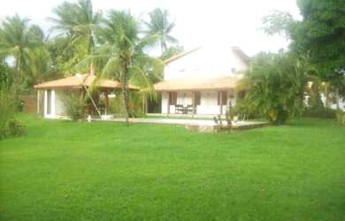 Imagem 5: 3 dormitórios, 1 banheiros, 6500M² de Área Total