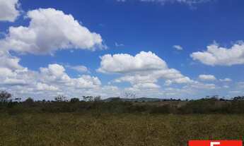 Imagem 5: 60000M² de Área Construída, 60000M² de Área Total