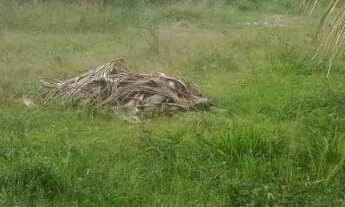 Imagem 4: 18000M² de Área Total