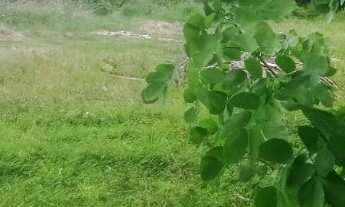 Imagem 2: 18000M² de Área Total