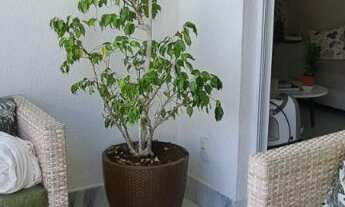 Imagem 5: 3 dormitórios, 1 suítes, 2 vagas na garagem, 85M² de Área Construída