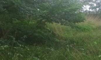 Imagem 3: 18000M² de Área Total