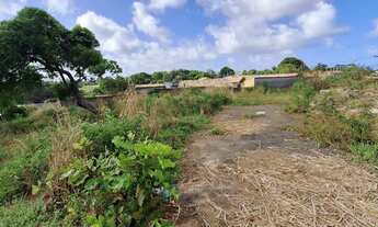 Imagem 7: 2300M² de Área Total