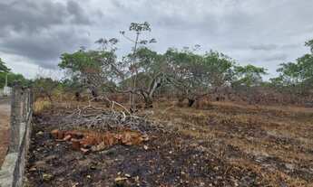 Imagem 3: 1449M² de Área Total