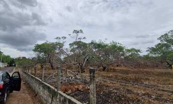 Imagem 2: 1449M² de Área Total