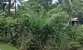 Imagem 2: 776M² de Área Total