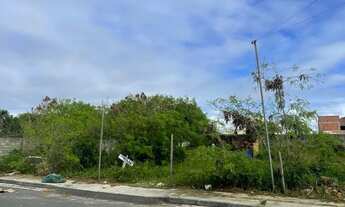 Imagem 3: 510M² de Área Total