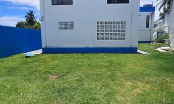 Imagem 7: Na Estrada Do Coco