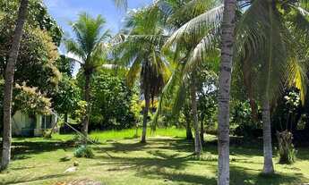 Imagem 6: 3000M² de Área Total