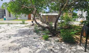 Imagem 3: 4 dormitórios, 4 suíte, 2 banheiro, 2 vagas na garagem, 600M² de Área Total