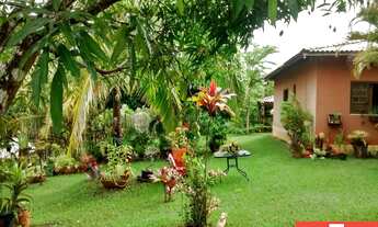 Imagem 2: Lindo sítio com 5.700 m², com 3 casas em Barra de Pojuca