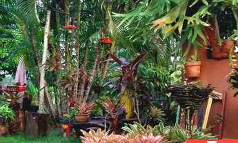 Imagem 7: Lindo sítio com 5.700 m², com 3 casas em Barra de Pojuca