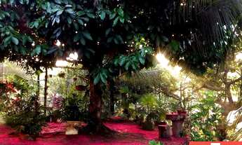 Imagem 5: Lindo sítio com 5.700 m², com 3 casas em Barra de Pojuca