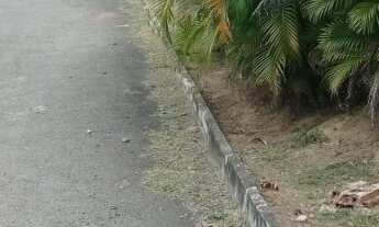 Imagem 1: 450M² de Área Total na Estrada Do Côco