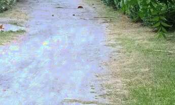 Imagem 5: 450M² de Área Total na Estrada Do Côco