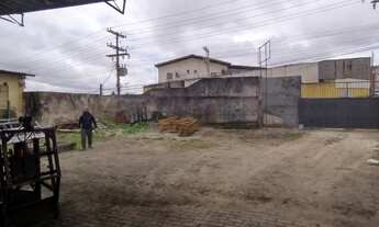 Imagem 5: Na Estrada Do Coco