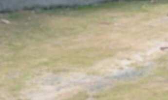 Imagem 2: 450M² de Área Total na Estrada Do Côco