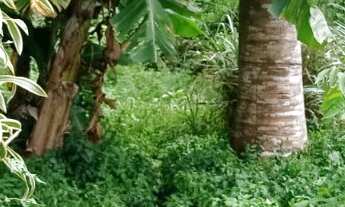 Imagem 7: 450M² de Área Total na Estrada Do Côco