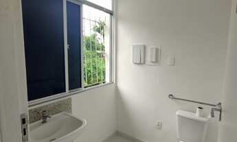 Imagem 6: Na Estrada Do Coco