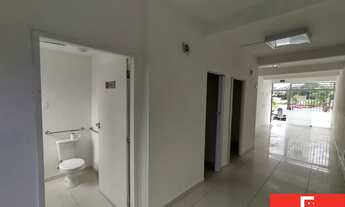 Imagem 5: Na Estrada Do Coco