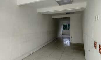 Imagem 4: Na Estrada Do Coco