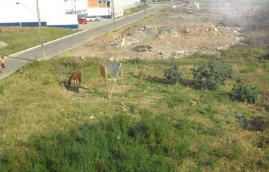 Imagem 5: TERRENO RESIDENCIAL em ITAJAÍ - SC, NILO BITTENCOURT