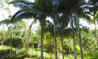Imagem 5: SITIO RESIDENCIAL em BARRA VELHA - SC, MEDEIROS