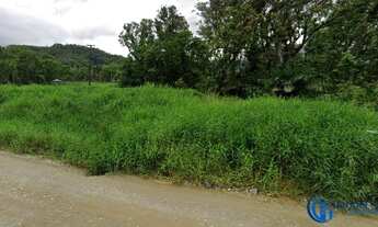 Imagem 4: AREA INDUSTRIAL em GARUVA - SC, Divisa Joinville - Garuva