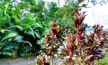 Imagem 2: CHACARA RURAL em Garuva - SC, São João Acima