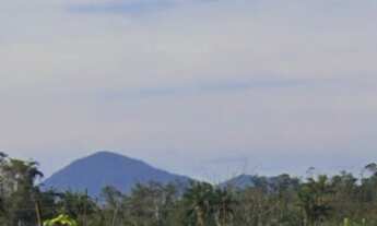 Imagem: AREA INDUSTRIAL em GARUVA - SC, Centro