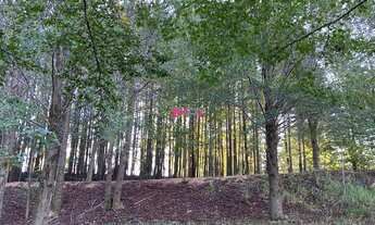 Imagem 5: Terreno a venda condominio Terra Caxambu Jundiai SP