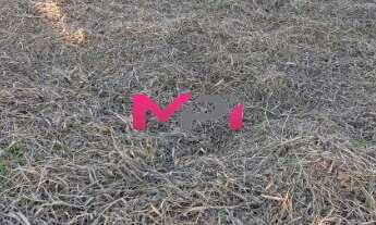 Imagem 5: TERRENO A VENDA NO JARDIM ITÁLIA EM ITUPEVA / SP