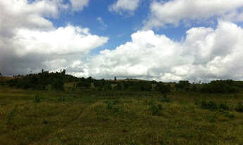 Imagem: 9000M² de Área Total