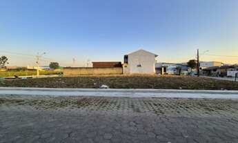 Imagem: TERRENO MISTO em ITAJAÍ - SC, ESPINHEIROS