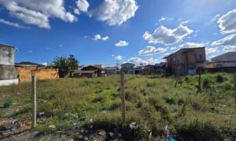 Imagem: TERRENO MISTO em ITAJAÍ - SC, ESPINHEIROS