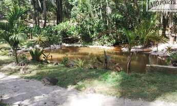 Imagem 3: ÁRUA - Lindo lote com 5.280,00m², nascente com lago privativo