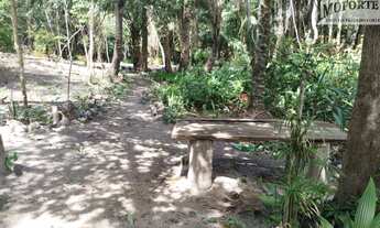 Imagem 7: ÁRUA - Lindo lote com 5.280,00m², nascente com lago privativo