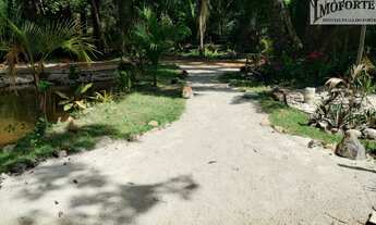 Imagem 5: ÁRUA - Lindo lote com 5.280,00m², nascente com lago privativo