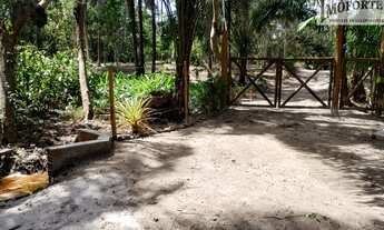 Imagem 6: ÁRUA - Lindo lote com 5.280,00m², nascente com lago privativo